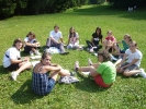 Campo_Medie_CDV_ 201050