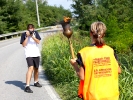 Fiaccolata_Oropa_2010 49