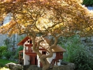 camposcuola-lourdes-2009-015