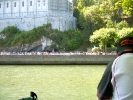 camposcuola-lourdes-2009-165