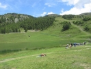 gita-chamois-084