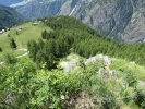 gita-chamois-118