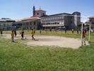 SONY DSC