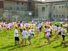 grest-2011-046