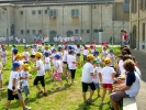 grest-2011-047