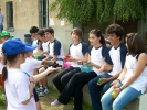 grest-2011-052