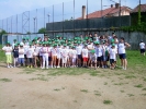 grest-2011-065