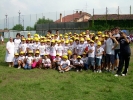 grest-2011-071