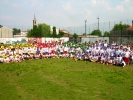 grest-2011-073