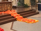 lectio-cameri-2011-01