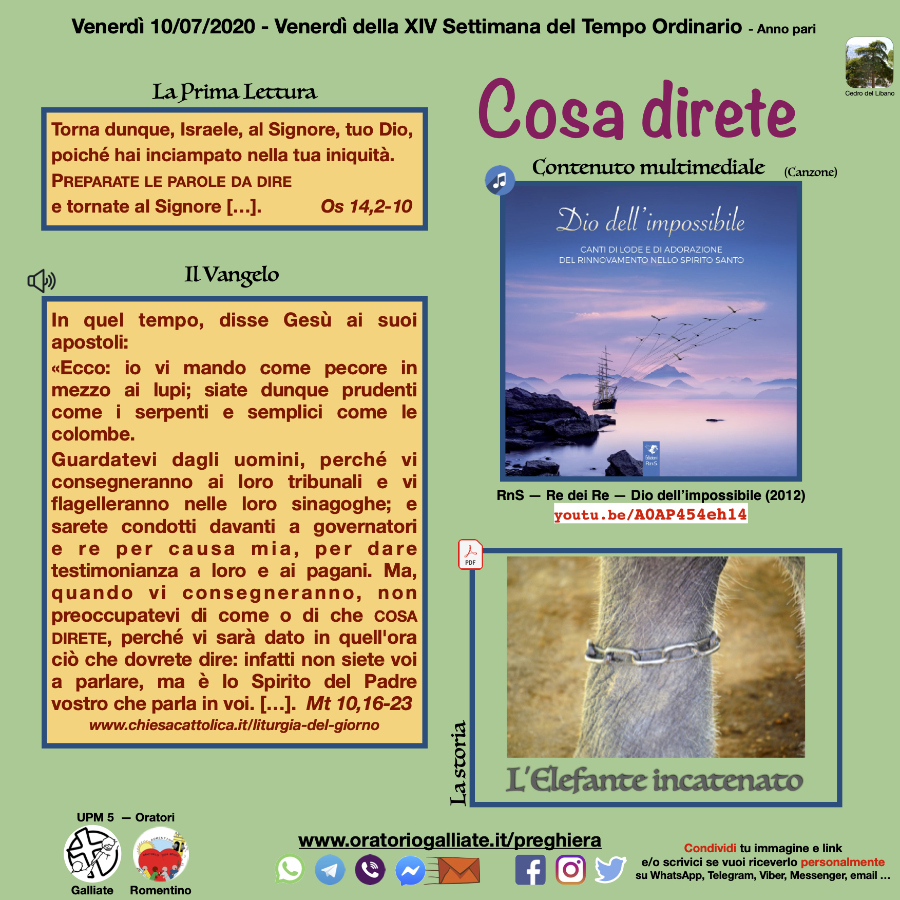 Prg200710-Ordinario